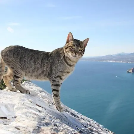 Nautico - Plusholidays 公寓 *