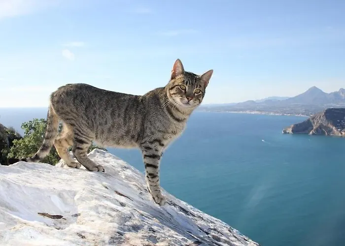 Nautico - Plusholidays Apartamento *